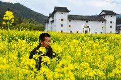老农徐满华的“丰收暗码