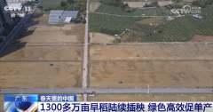 科技赋能为春耕按下“加快键” 春天里的中国孕